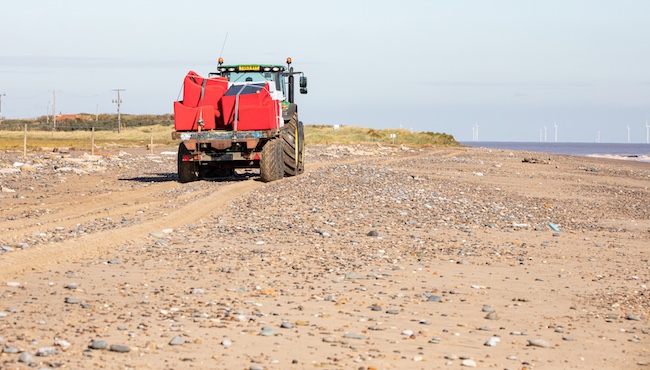 are dogs allowed at spurn point